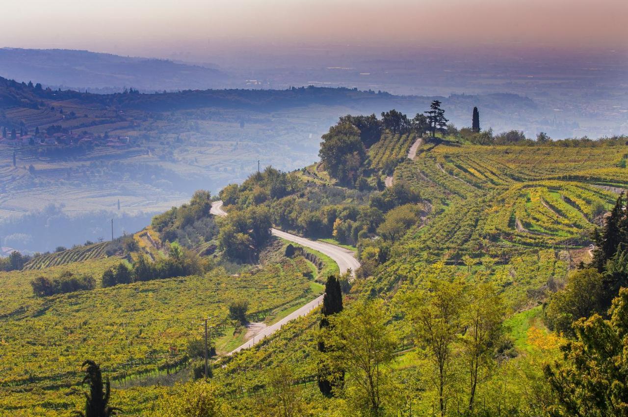 Valpolicella Homes Recioto Apartment SantʼAmbrogio di Valpolicella エクステリア 写真
