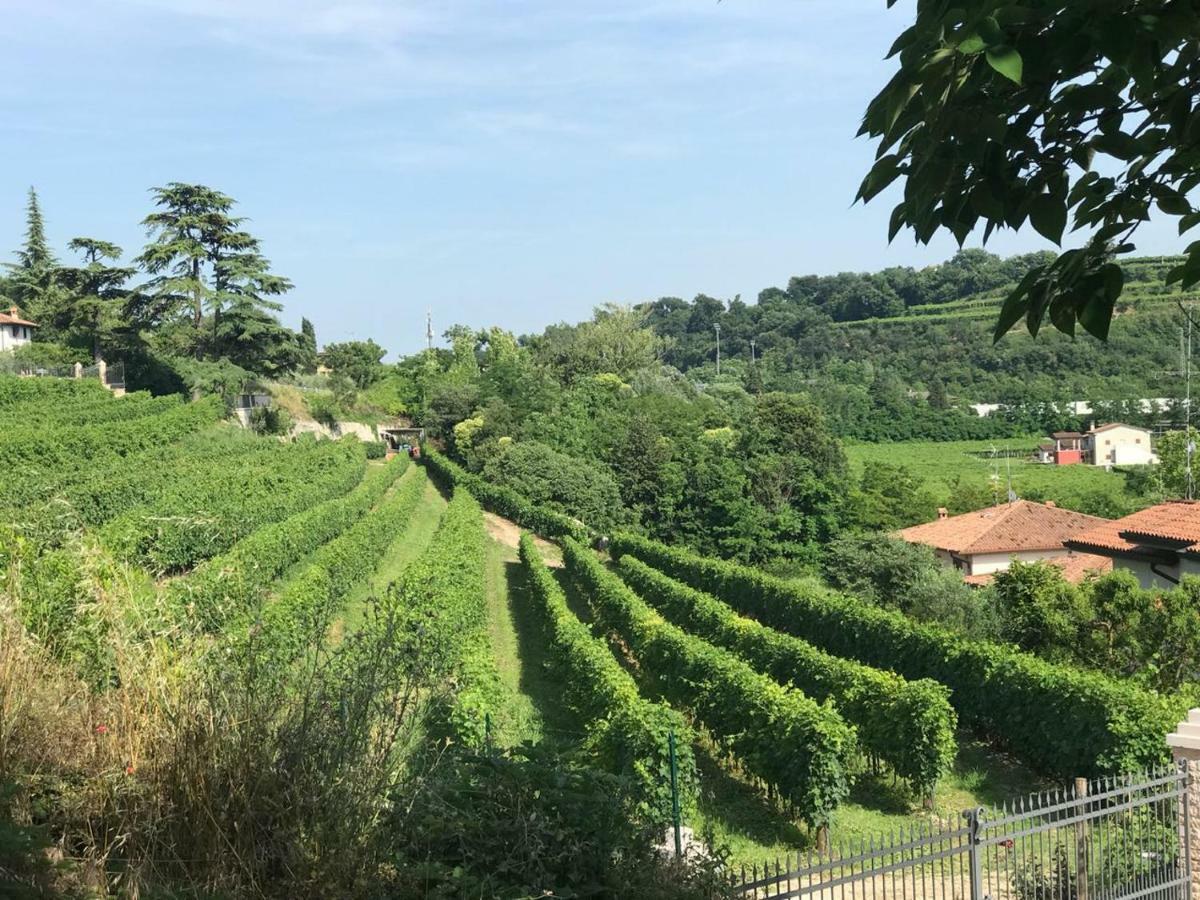 Valpolicella Homes Recioto Apartment SantʼAmbrogio di Valpolicella エクステリア 写真