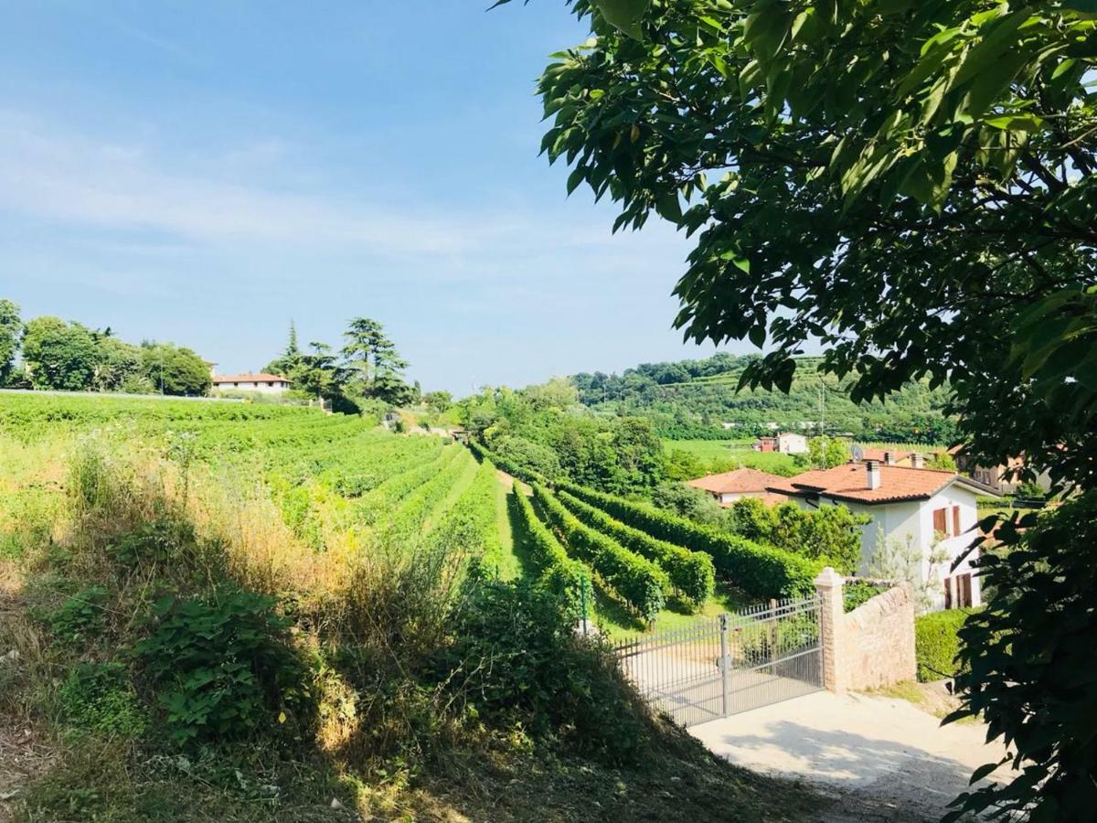 Valpolicella Homes Recioto Apartment SantʼAmbrogio di Valpolicella エクステリア 写真