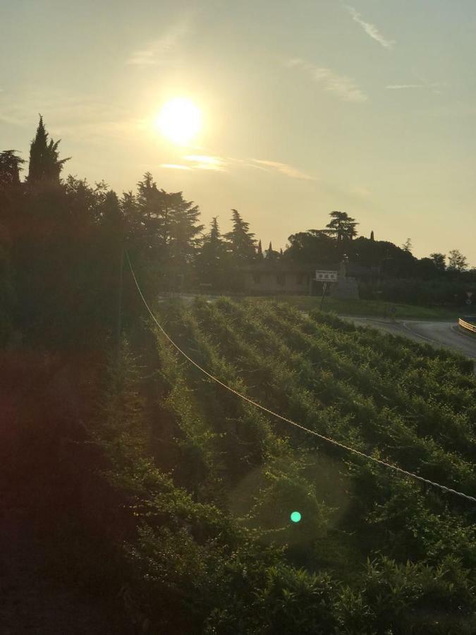 Valpolicella Homes Recioto Apartment SantʼAmbrogio di Valpolicella エクステリア 写真